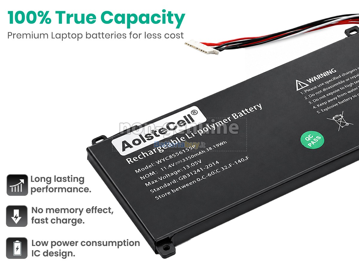 Batteria per AolsteCell WYC8556155P