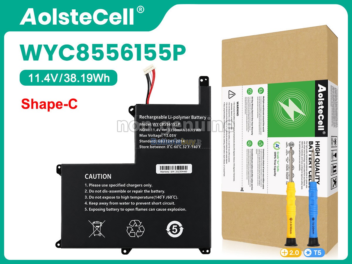 Batteria per AolsteCell WYC8556155P