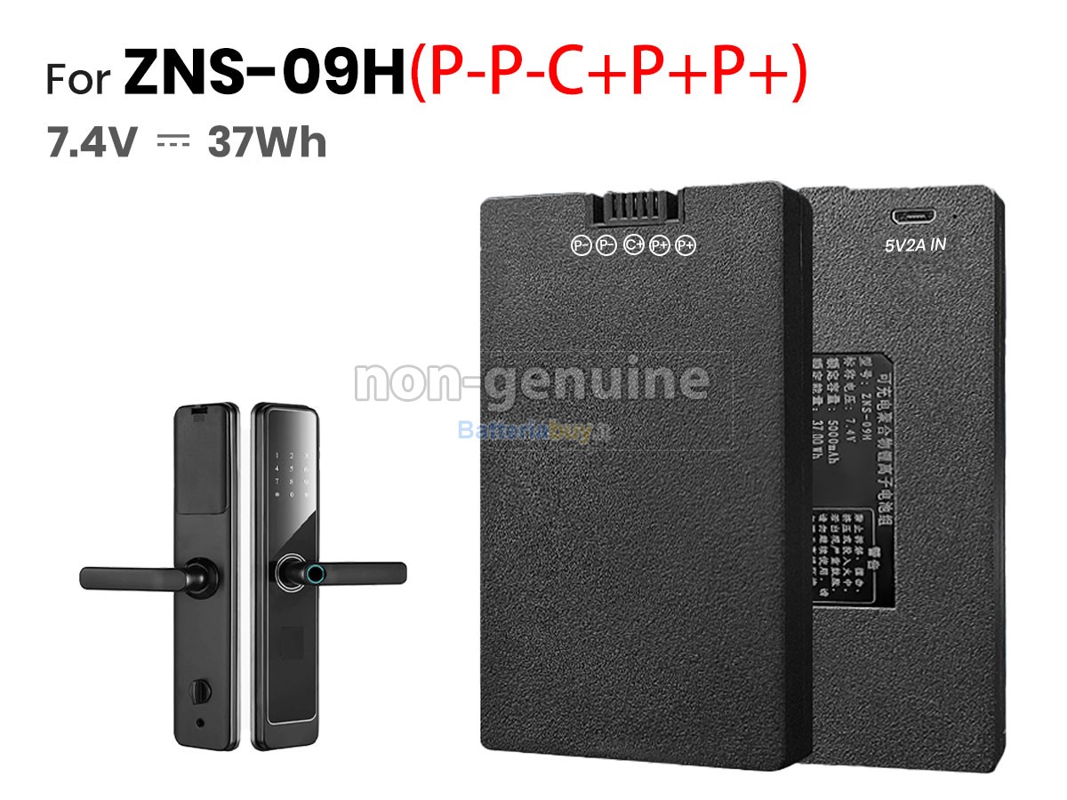 Batteria per AolsteCell ZNS-09H1