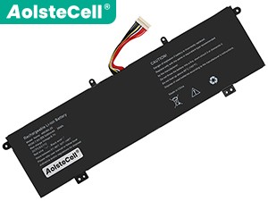 Batteria AolsteCell 4663B2-2S