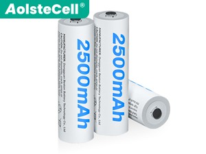 Batteria AolsteCell AA-2500