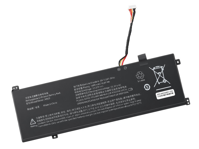 Batteria AolsteCell NB03