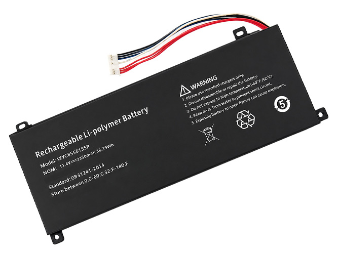Batteria AolsteCell WYC8556155P