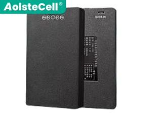 Batteria AolsteCell ZNS-09D