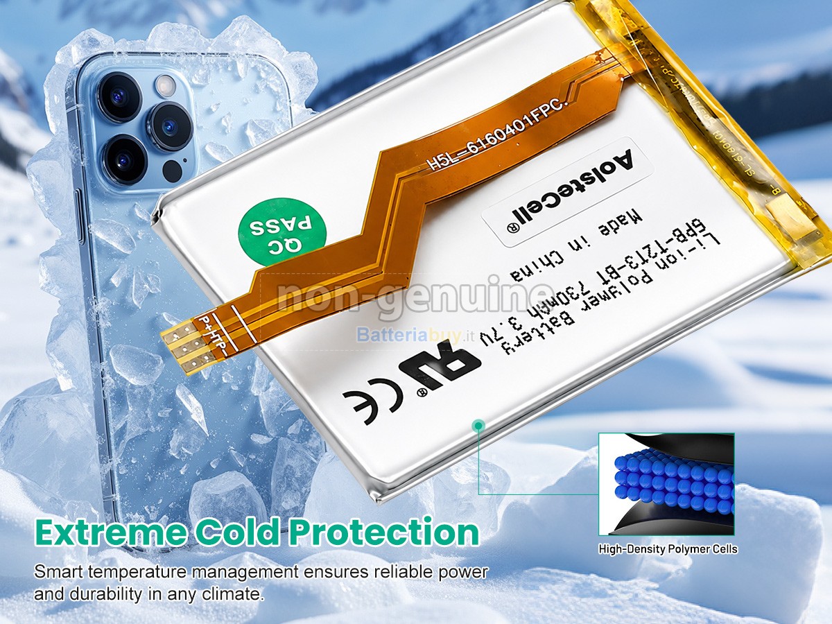 Batteria per Apple 616-0472