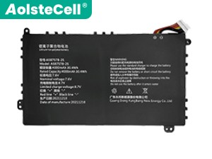 Batteria AXIOO A587578-2s