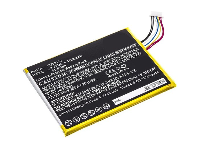 Batteria Bang Olufsen 8700112
