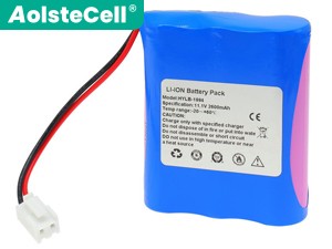 Batteria Biocare IE300