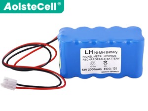 Batteria Biocare ECG-300G BAT