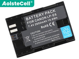 Batteria Canon LP-E6