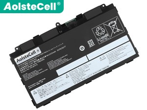 Batteria Fujitsu FPB0349S(3icp6/56/77)