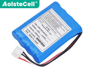 Batteria Fukuda FX-3010