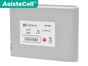 Batteria GE 2039944-001
