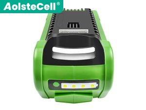 Batteria Greenworks 27062