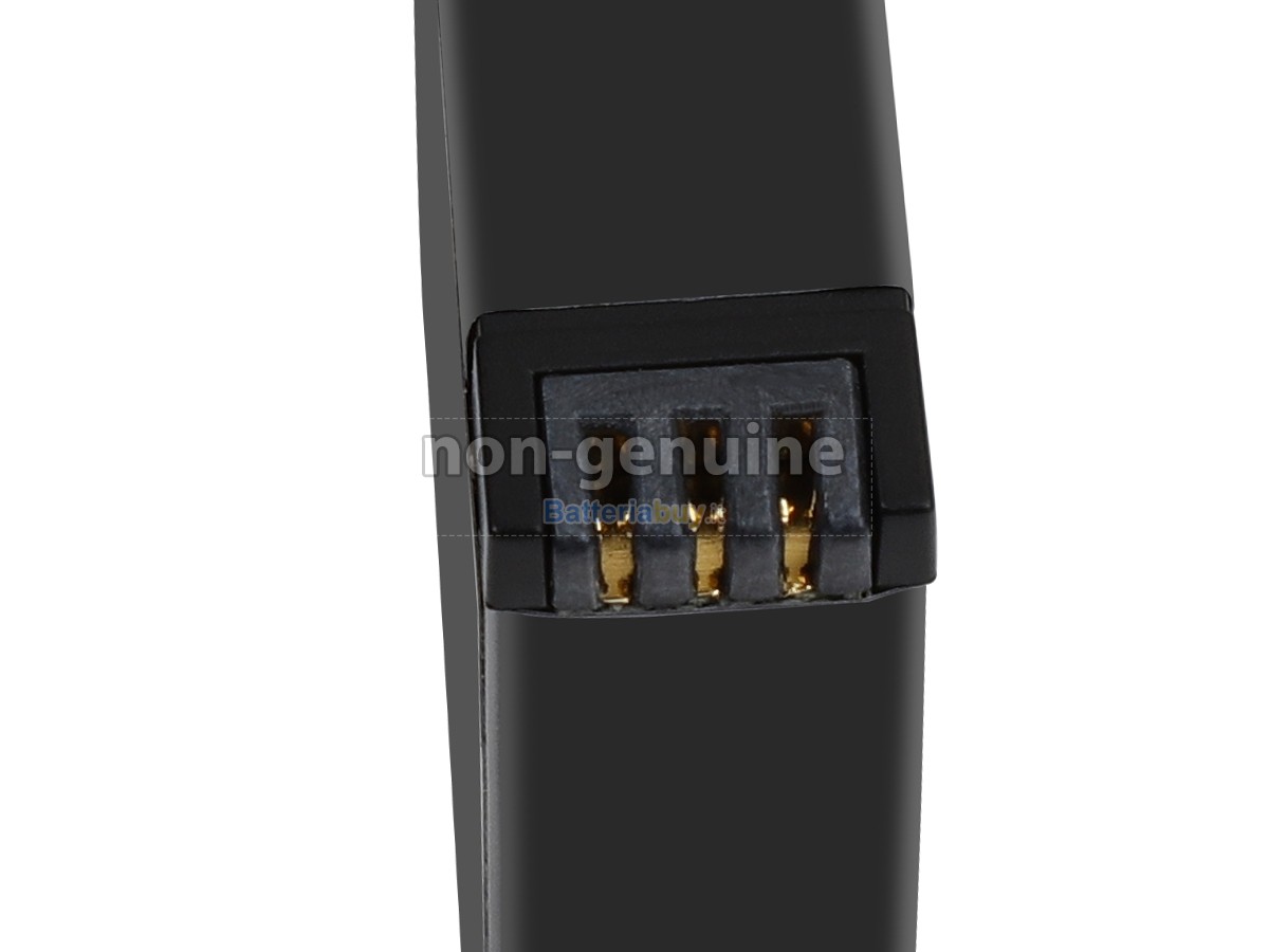 Batteria per Insta360 IS360XB