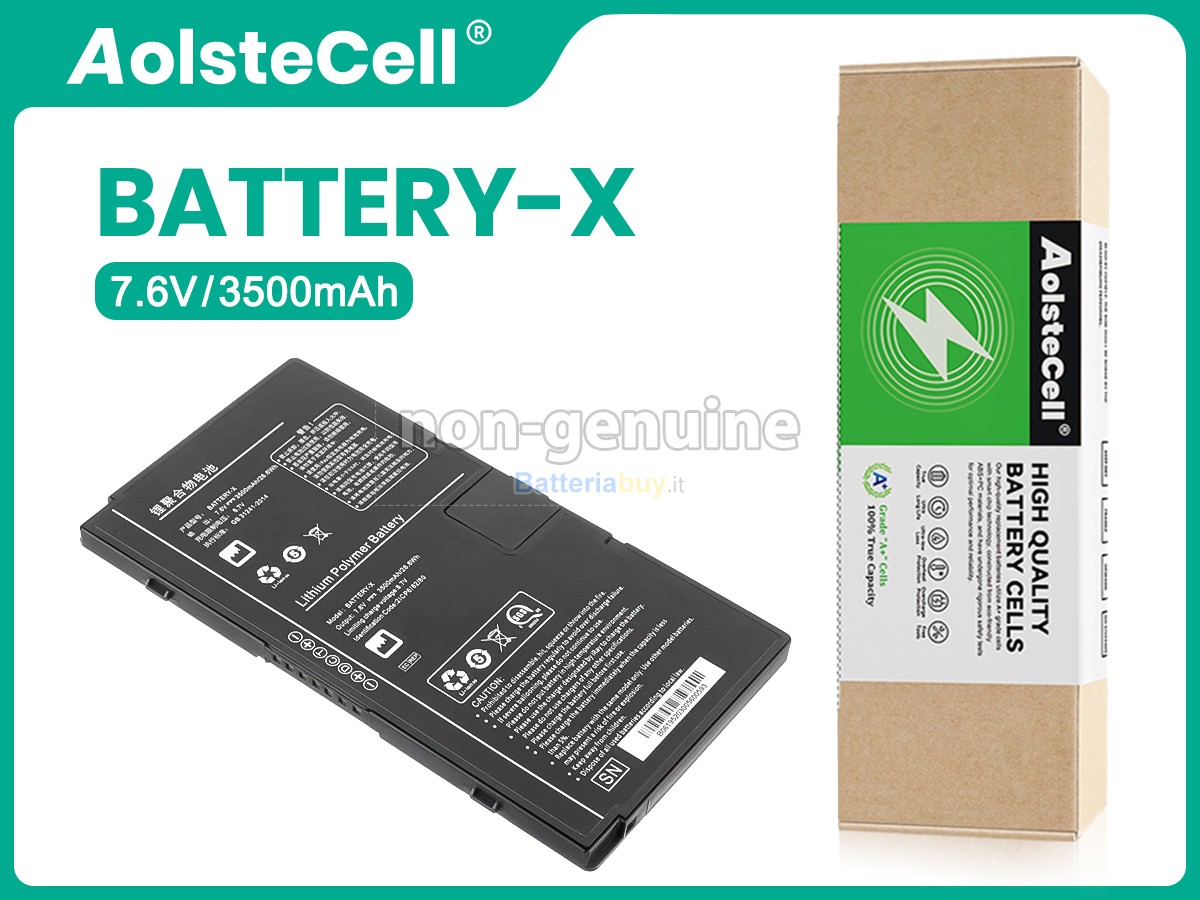 Batteria per Iray BATTERY-X