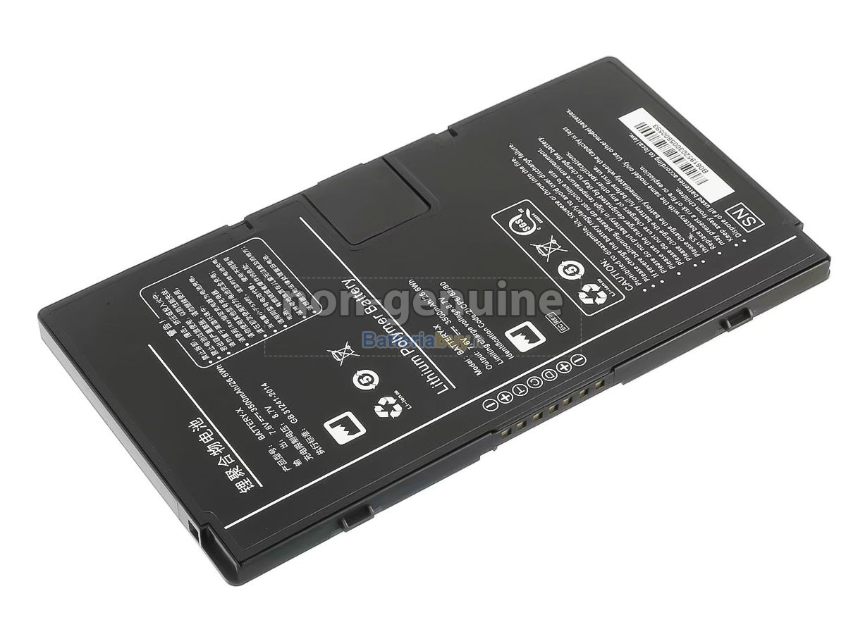 Batteria per Iray BATTERY-X