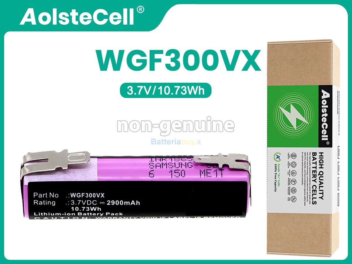 Batteria per Karcher WV2 PREMIUM