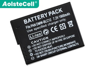Batteria Leica BP-DC12