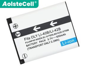 Batteria Leica SL1031