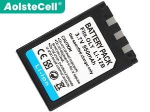 Batteria Olympus Camedia X-2