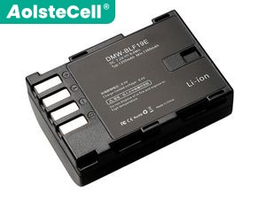 Batteria Panasonic BLF19E