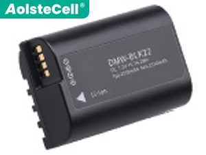 Batteria Panasonic BLK22
