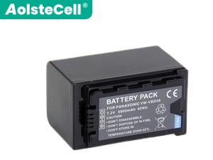 Batteria Panasonic VW-VBD58