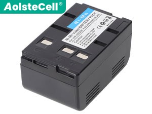 Batteria Panasonic NV-RX101