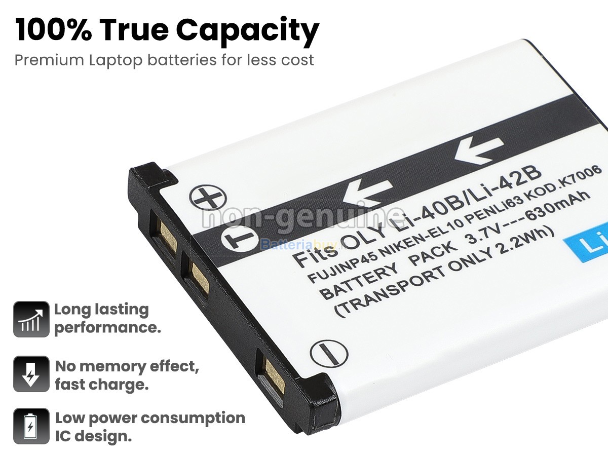 Batteria per PENTAX OPTIO LS1000