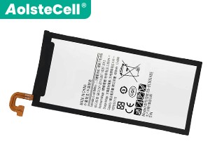 Batteria Samsung C9000