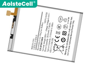 Batteria Samsung EB-BF907ABA