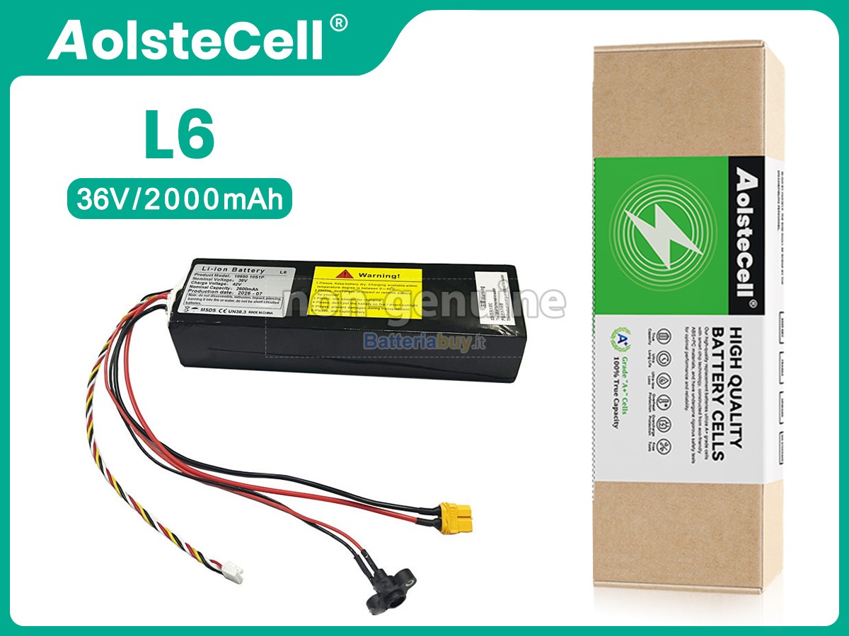 Batteria per Segway Ninebot L6
