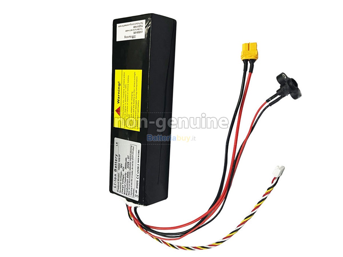 Batteria per Segway Ninebot L6