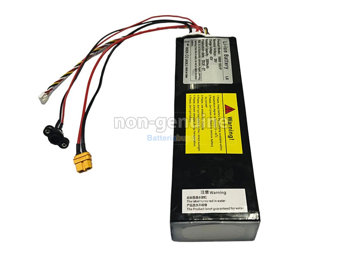 Batteria per Segway Ninebot L6