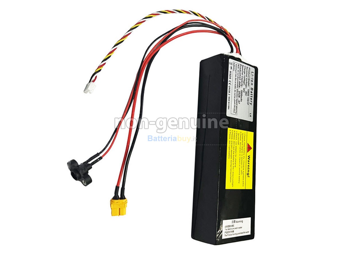 Batteria per Segway Ninebot L6