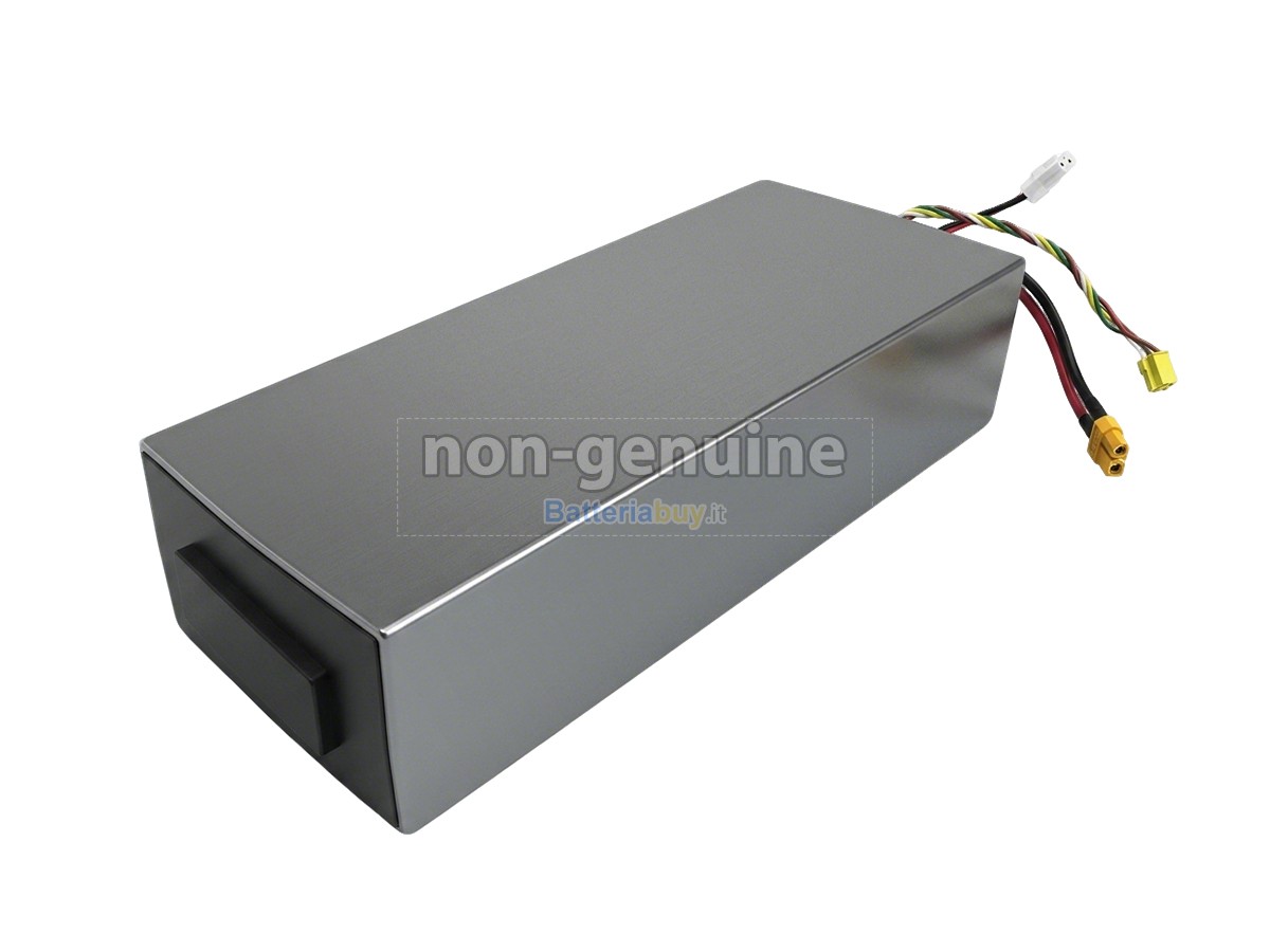 Batteria per Segway Ninebot H1319-H