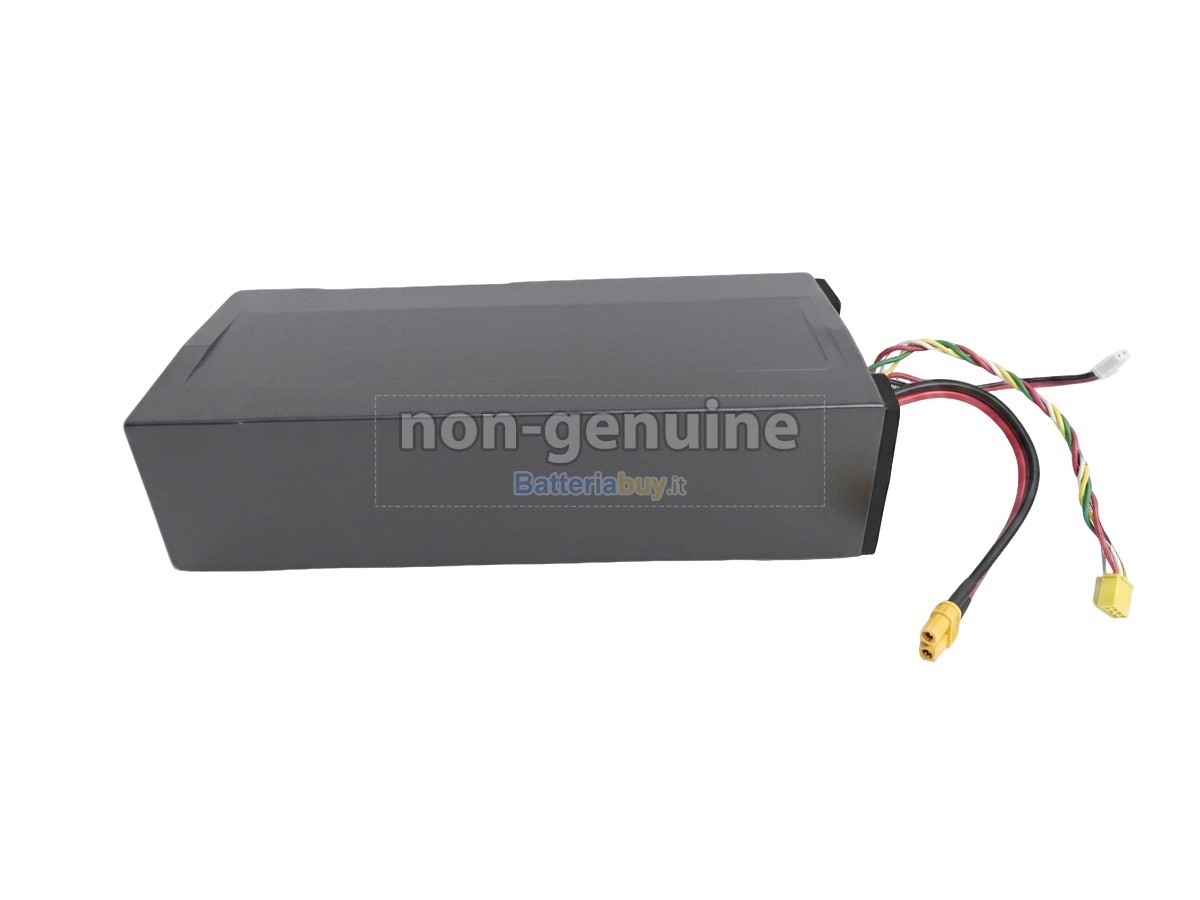 Batteria per Segway Ninebot H1319-H