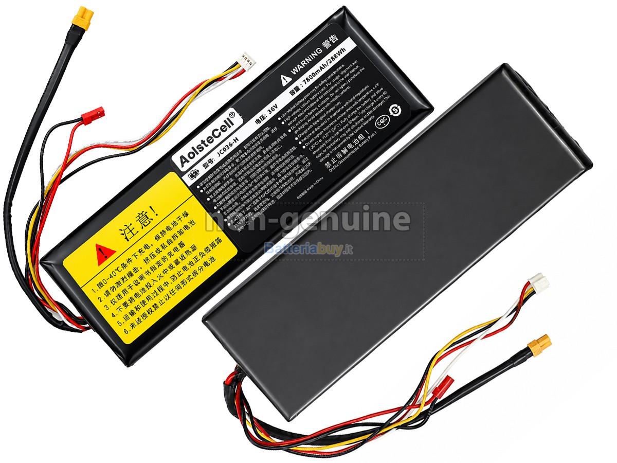 Batteria per Segway Ninebot H1319-H