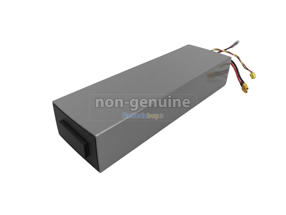 Batteria per Segway Ninebot H1319-H