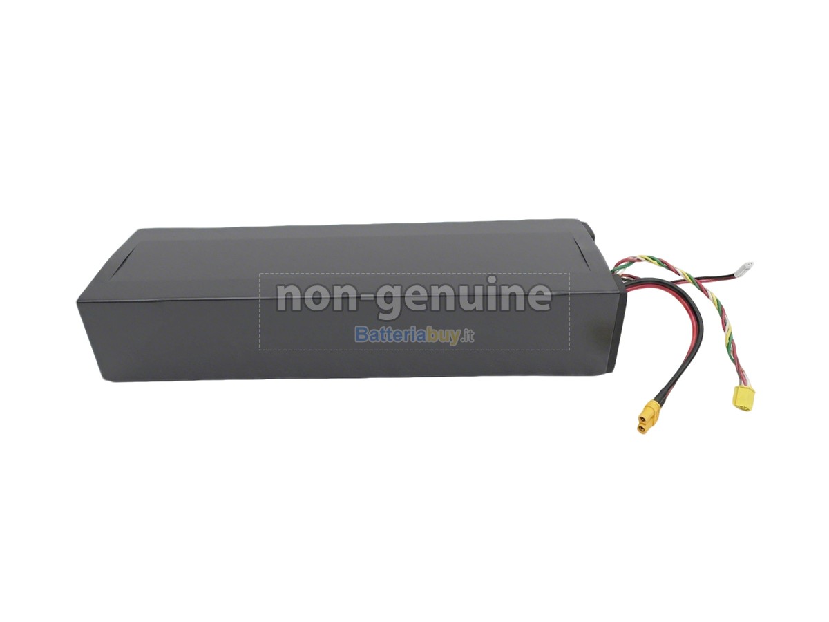 Batteria per Segway Ninebot H1319-H