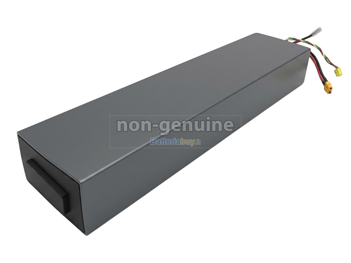 Batteria per Segway Ninebot H1319-H