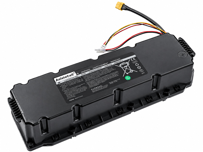Batteria Segway Ninebot NEE1006-M
