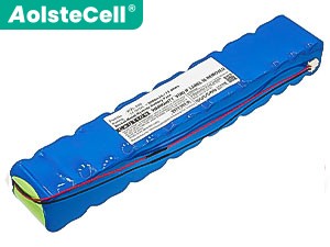 Batteria Smiths WZL-506