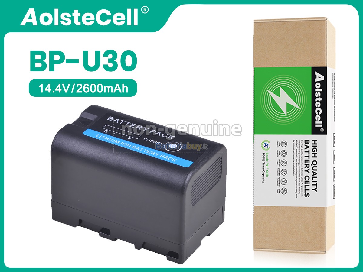Batteria per Sony BP-U35