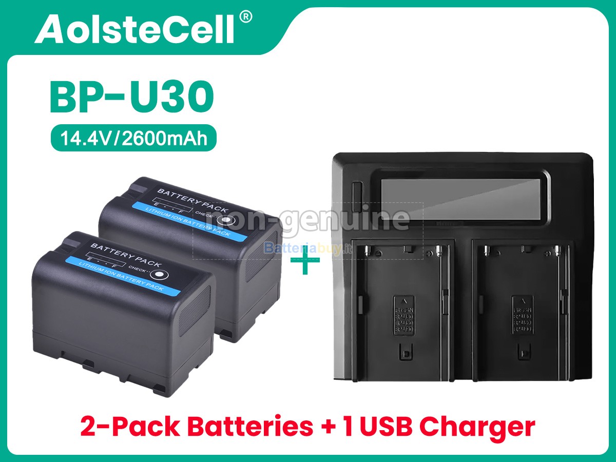 Batteria per Sony BP-U35