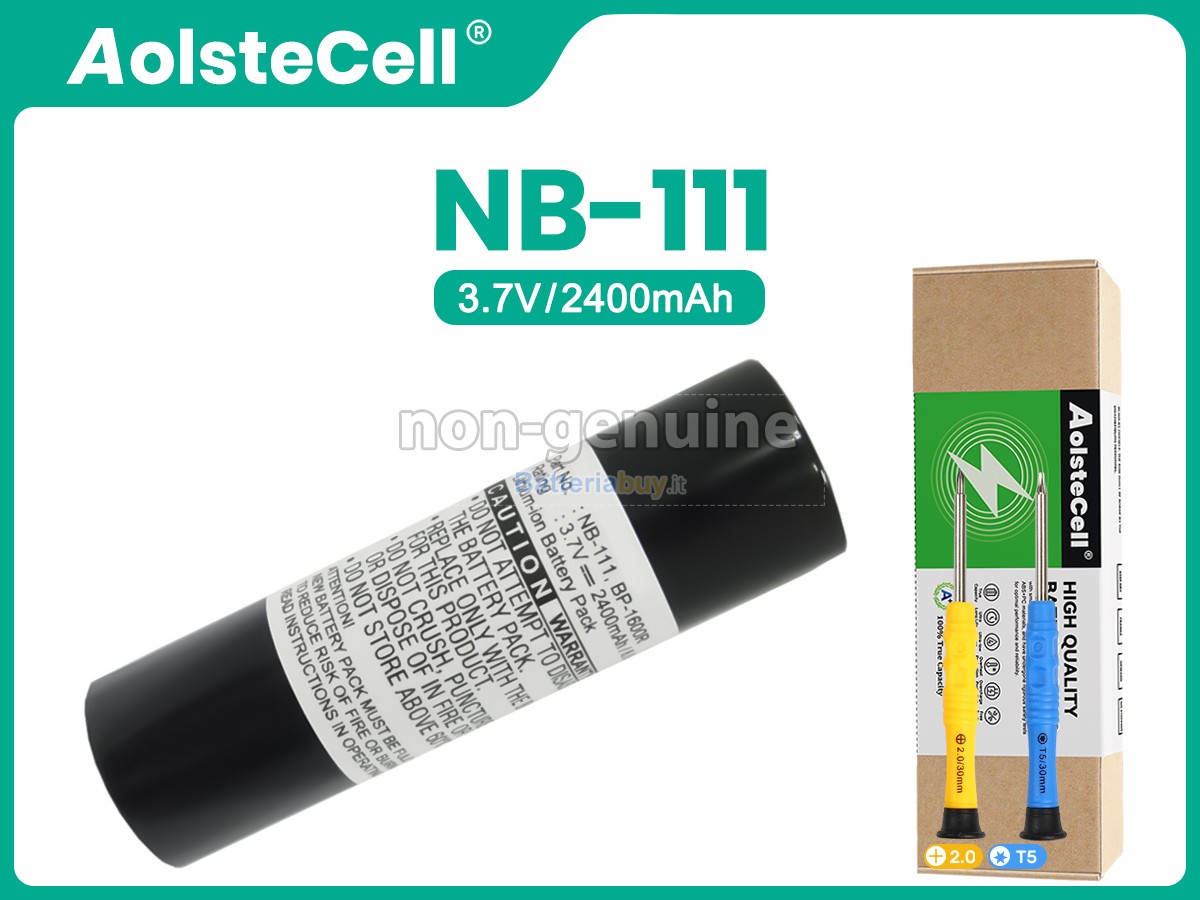 Batteria per Sony NB-111