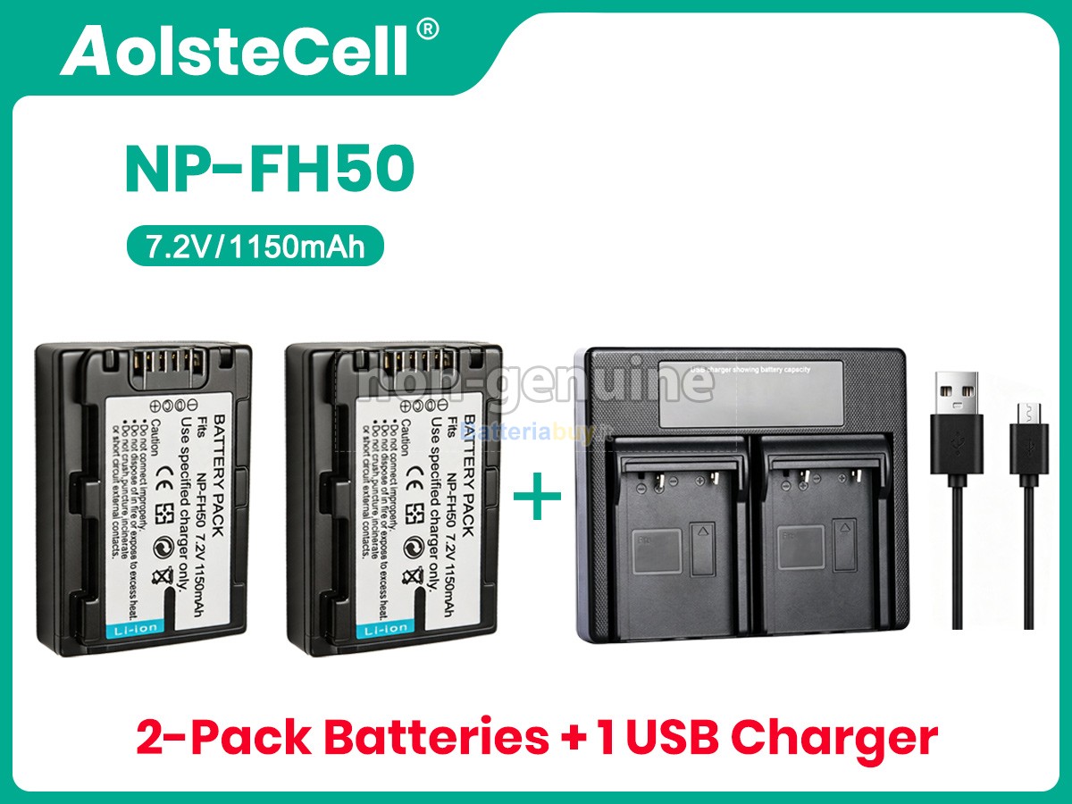 Batteria per Sony HDR-UX5