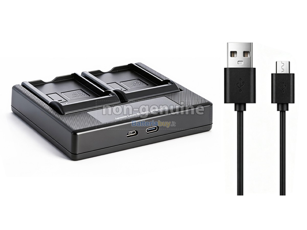 Batteria per Sony HDR-UX5