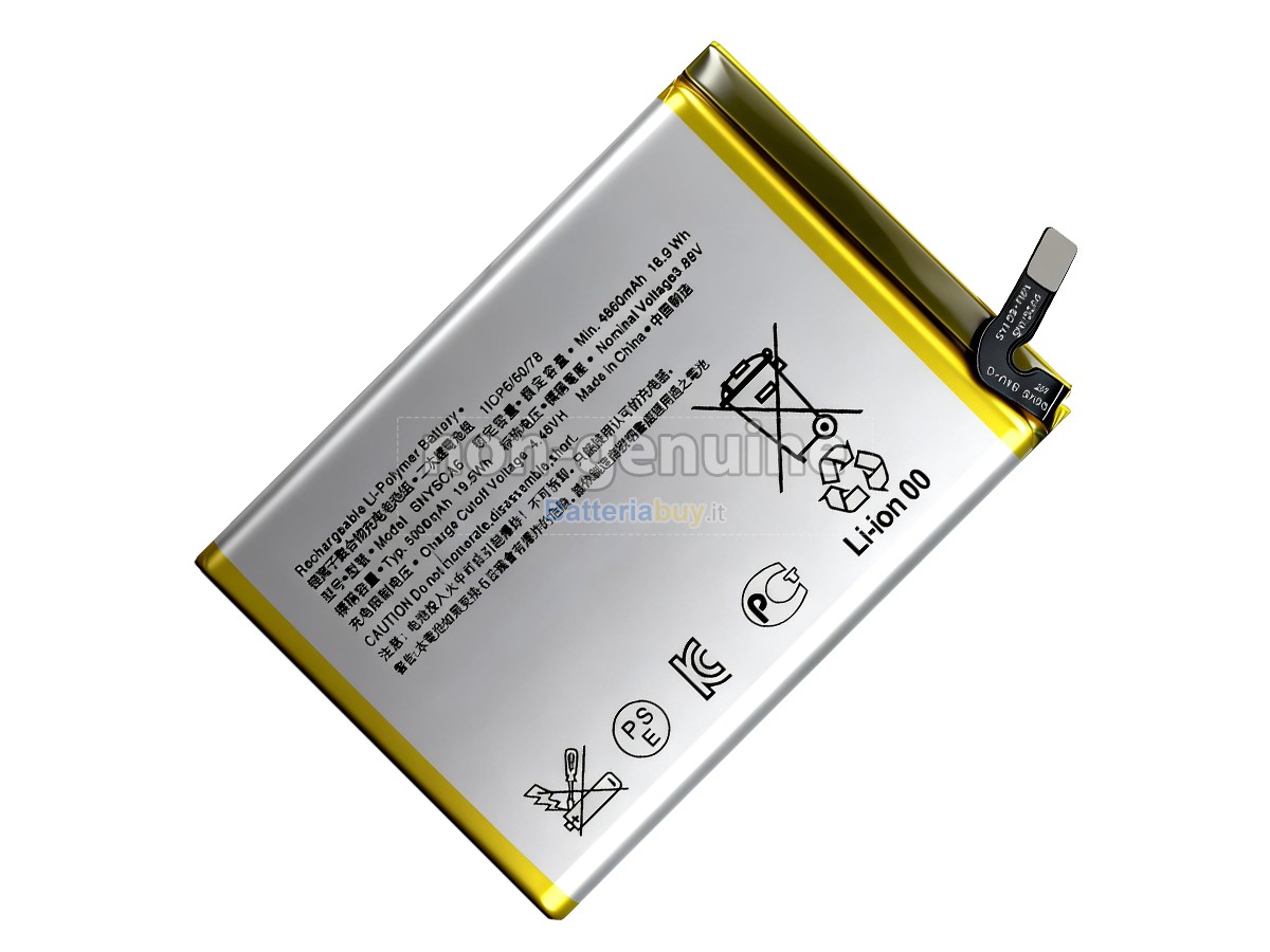 Batteria per Sony SNYSCA6